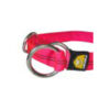 Collar de control - Imagen 2