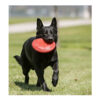 Kong Perro Caucho Classic Frisbee Large - Imagen 3
