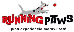 Running Paws Colombia