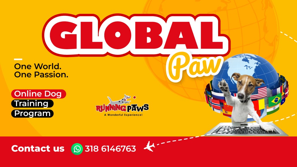 GLOBAL PAW English