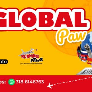 Basic Paw Virtual Español