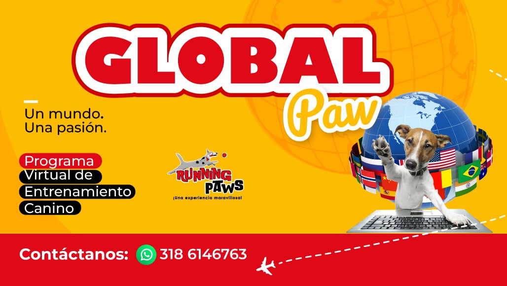 GLOBAL PAW Español
