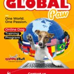 GLOBAL PAW English