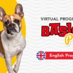 Virtual English Basic Paw (Basic Dog Training Program)