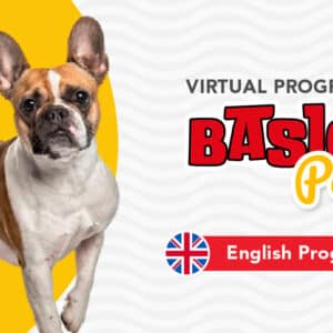 Virtual English Basic Paw (Basic Dog Training Program)