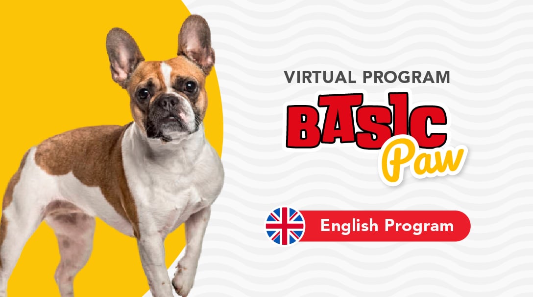 Virtual English Basic Paw (Basic Dog Training Program)