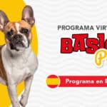 Basic Paw Virtual (Programa de Entrenamiento Básico en Español)