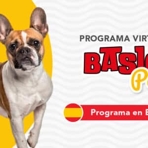 Basic Paw Virtual (Programa de Entrenamiento Básico en Español)
