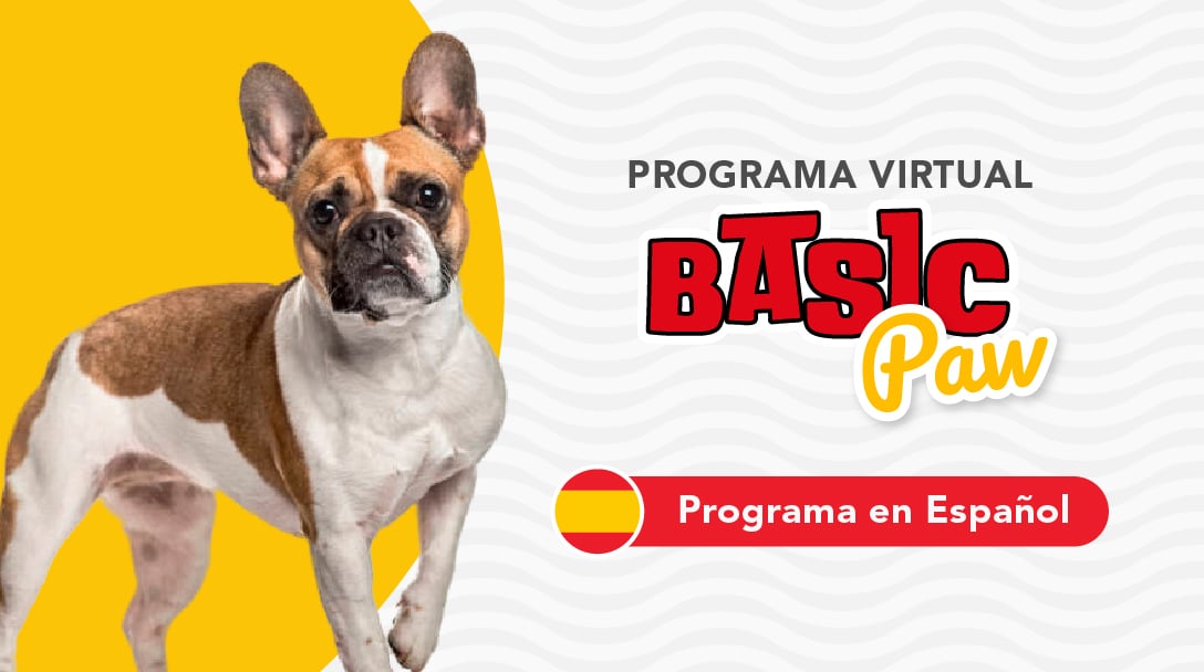 Basic Paw Virtual (Programa de Entrenamiento Básico en Español)