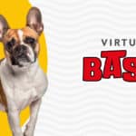 Basic Paw Virtual (Programa de Entrenamiento Básico en Español)