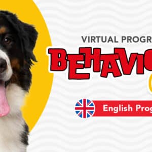 Virtual English Behaviour Paw (Dog Behaviour Modification Program)