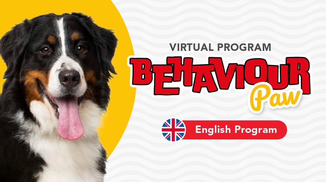 Virtual English Behaviour Paw (Dog Behaviour Modification Program)