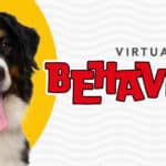 Behaviour Paw Virtual (Programa de modificación de conductas en Español)