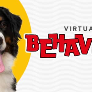 Behaviour Paw Virtual (Programa de modificación de conductas en Español)