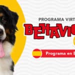 Behaviour Paw Virtual (Programa de modificación de conductas en Español)