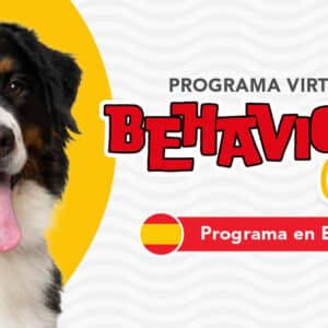 Behaviour Paw Virtual (Programa de modificación de conductas en Español)
