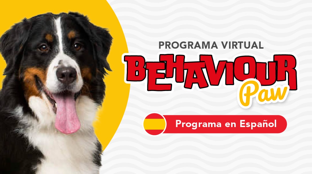 Behaviour Paw Virtual (Programa de modificación de conductas en Español)