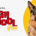 Virtual English High School Paw (Intermediate Dog Training Program)