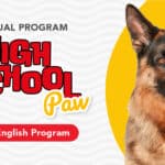 Virtual English High School Paw (Intermediate Dog Training Program)