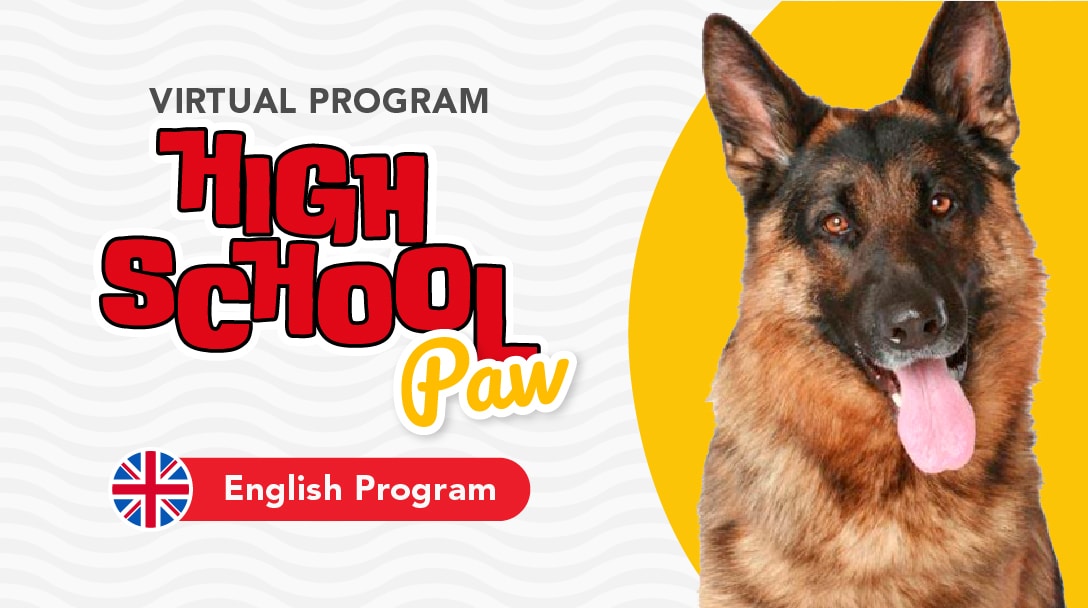 Virtual English High School Paw (Intermediate Dog Training Program)