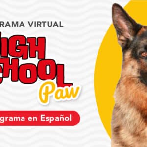 High School Paw Virtual (Programa Intermedio de Entrenamiento Canino en Español)