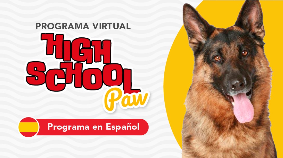 High School Paw Virtual (Programa Intermedio de Entrenamiento Canino en Español)