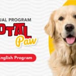 Virtual English Total Paw (Integral Dog Training Program)